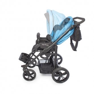 Детская прогулочная коляска ДЦП Liwcare Modi Buggy на раме Rico