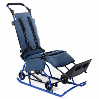 Детские прогулочные санки Raft Bike Raft Санки 2в1