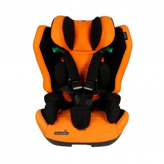 Детское автомобильное кресло ДЦП Thomashilfen RECARO Axion 1 Reha