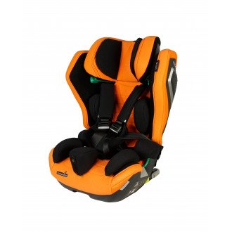 Детское автомобильное кресло ДЦП Thomashilfen RECARO Axion 1 Reha