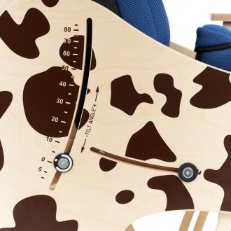 Детская комнатная кресло-коляска Akcesmed Dalmatian Invanto Dt-2