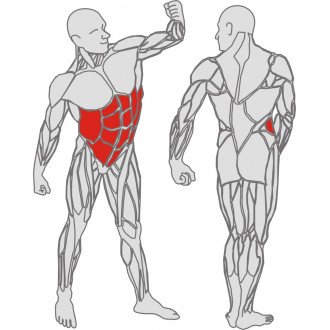 Тренажёр механотерапевтический для мышц пресса Hur Rehabilitation 5340