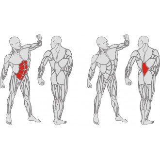 Тренажёр механотерапевтический для мышц пресса и спины Hur Rehabilitation 5310