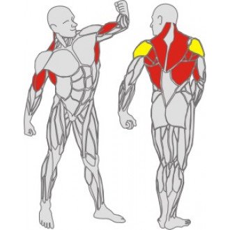 Тренажёр механотерапевтический для рук и спины Hur Rehabilitation 5175