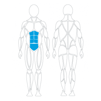 Тренажёр механотерапевтический для пресса David Abdominal Crunch G130