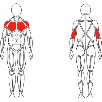 Тренажёр механотерапевтический для мышц груди David Chest Press G510
