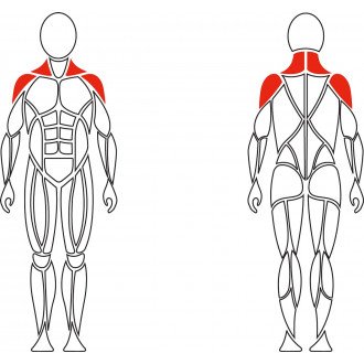 Тренажер механотерапевтический David Shoulder Concept F620 разведение рук в стороны