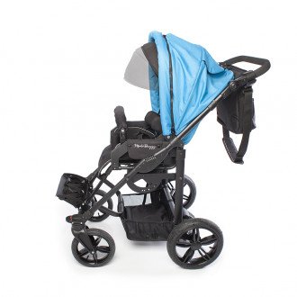 Детская прогулочная коляска ДЦП LIWCare Modi Buggy